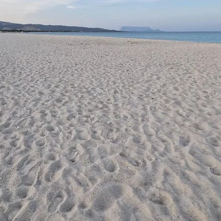 Appartement Casa Julia - Meraviglioso Attico Al Centro Di Budoni, Vista Mare - *